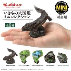 いきもの大図鑑　ミニコレクション　両生類　ニホンヒキガエル　新品未開封品のサムネイル