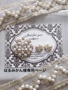 はるみかん様専用ページ　グレージュが可愛い華やかブローチ＆蝶バネイヤリングのサムネイル