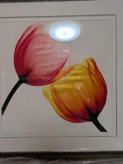 チューリップ 絵画 アート インテリア シルクアート、上海作家作品 チューリップ 絵画 アート インテリア シルクアート、上海作家作品