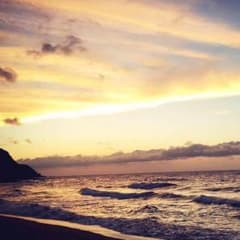 mahalo♡様専用のサムネイル