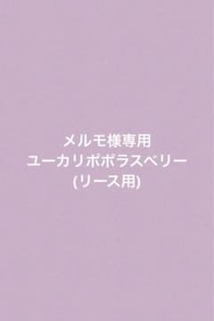 メルモ様専用ページのサムネイル