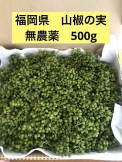 山椒の実 無農薬 500g 採れたて 福岡県産 送料込み ③ - メルカリ