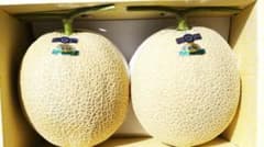 ひ*ろ様 高知産　温室マスクメロン　７玉　約８，１Kｇ（箱込み）　秀品　北海道沖 特秀品】マスクメロン厳選品2玉箱入り「熨斗対応可」：高知県産の