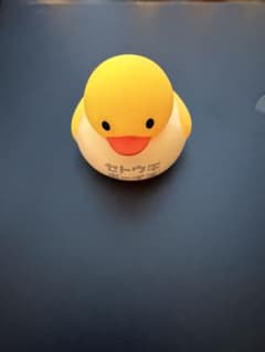 セトウチボーイズ あひるのぐらふぃてぃ　白のサムネイル