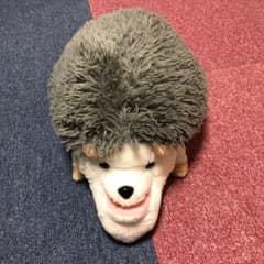 シャクレプラネット  ハリネズミのサムネイル