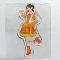 水樹奈々 アクリルスタンド 水樹奈々 】 アクリルスタンド - メルカリ