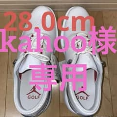 ジョーダン ADG 4 28.0cmのサムネイル