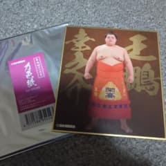 王鵬　力色紙　大相撲　相撲のサムネイル