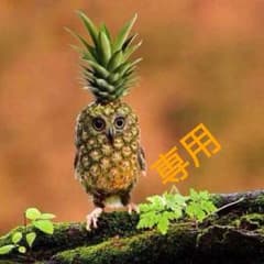 きゃろたんさん専用のサムネイル