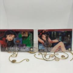 NEON GENESIS EVANGELION カード 2枚セットのサムネイル