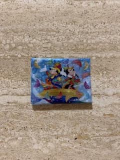 東京ディズニーランド ハーモニーインカラー ケースのサムネイル