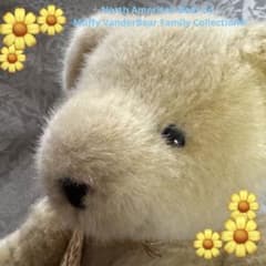 ノースアメリカンベア1982 Fluffy VanderBear®︎ - メルカリ