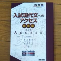 大変綺麗です❗❗入試現代文へのアクセス 発展編のサムネイル