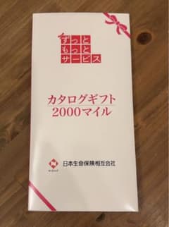 日本生命　カタログギフトのサムネイル