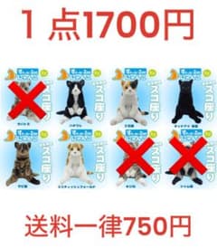 스와치ぃ Zoo 냥코 1점