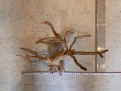 水槽用流木 アクアリウム レイアウト 枝ぶり良好のサムネイル