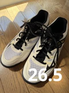 ミズノ　バレーボールシューズ　26.5のサムネイル