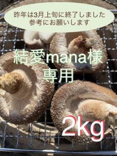 生椎茸2kgのサムネイル