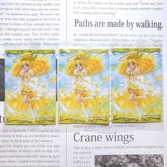 Chaos tcg グリザイアの果実 未開封 BOX シュリンク付き | Mua sắm tại