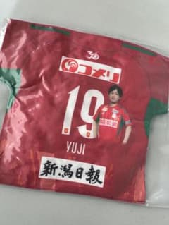 アルビレックス新潟　星雄次選手　 マッチデークッションのサムネイル