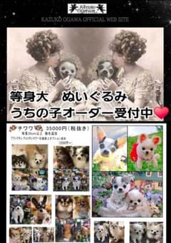 うちの子オーダー受付中♥️ チワワ リアル 実物大 ぬいぐるみ