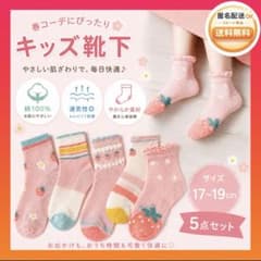 キッズ⭐️メッシュソックス 5足セット 17〜19cm 夏用 女の子 いちご柄のサムネイル