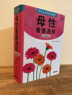 ウエルネスからみた母性看護過程+病態関連図のサムネイル