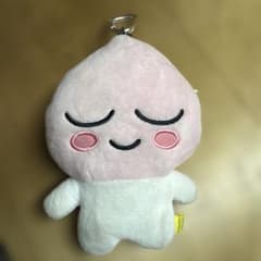 여름*님 아피치 카카오프렌즈 패스 케이스 봉제인형 케이스 릴 첨부 익