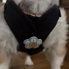 Olchi 犬用ハーネス フラワーモチーフ　M
