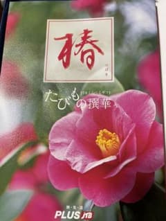 カタログ椿のサムネイル
