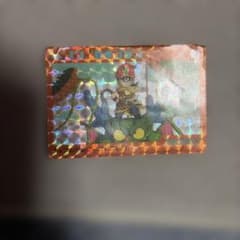 ドラゴンボールZ 極レアホログラムカード ドラゴンボールZ 極レアホログラムカード