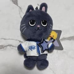 RIIZE ウォンビン トニャンドク RIIZE PARK 10cm キーリング トニャンドク ウォンビン タグ付き - メルカリ