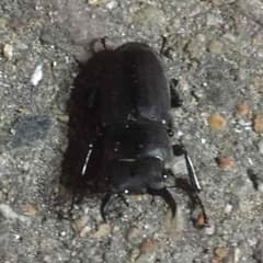 ほし様専用のサムネイル
