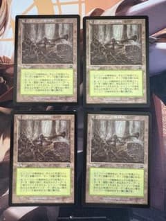 MTG ヒッコリーの植林地 4枚セット - メルカリ