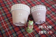 リメイク鉢【2号/2.5号】2点セットのサムネイル