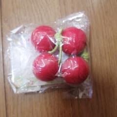 野いちごままご マザーガーデン 旬の食材 さくらんぼのサムネイル