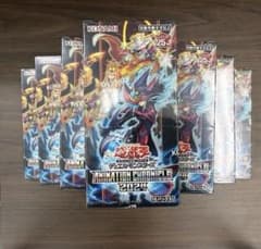 遊戯王 アニメーションクロニクル2024 10BOX 未開封 シュリンク有