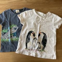 ZARA キッズ　110センチ　Tシャツのサムネイル