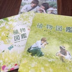 植物図鑑 運命の恋、ひろいました 《岩田剛典×高畑充希》のサムネイル