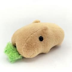 이즈 샤보텐 공원 한정 카피바라씨 푸르트 카피바라씨(풀) 마스코트