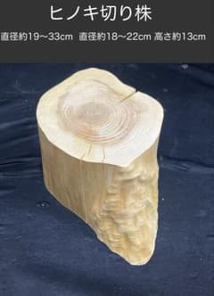 檜　切り株　高さ約19.5㎝ 切り株【檜】直径約18〜33cm 高さ約13cm - メルカリ