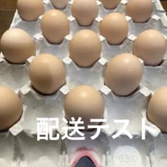 ふたご10個※紙シート、箱のcheckのサムネイル