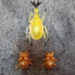 カブトムシ 昆虫フィギュア 3点セットのサムネイル