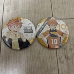 ハイキュー 日向翔陽 缶バッジ 2種セット - メルカリ