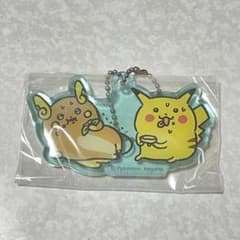 ポケモン ナガノ 24じかんポケモンCHŪ アクリル ライチュウ ピカチュウ