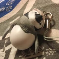 ペンギンのサムネイル
