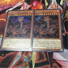 ドゴラン シク 2枚セットのサムネイル