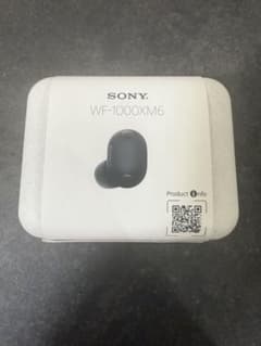 SONY WF-1000XM6 ワイヤレスイヤホン 本体のサムネイル