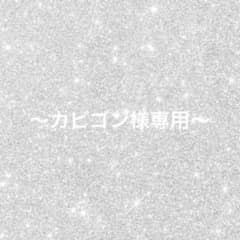 〜カビゴン様専用ページ～のサムネイル