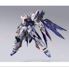 METAL BUILD FESTIVAL 2024 ストライクフリーダムガンダムのサムネイル